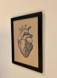 Instays. 1 quarto no Universitário - 6