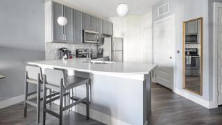 Landing Modern Apartment with Amazing Amenities (ID4332X66) - 5