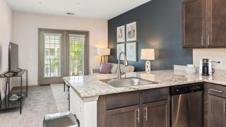 Landing Modern Apartment with Amazing Amenities (ID8767X54) - 9