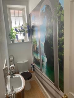 Bright large double with sole use lovely separate bath only - Bexhill - 1