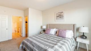 Landing Modern Apartment with Amazing Amenities (ID3811X44) - 1
