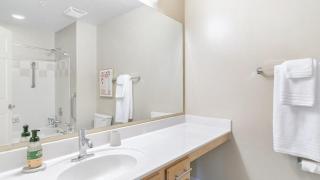 Landing Modern Apartment with Amazing Amenities (ID7769X09) - 1