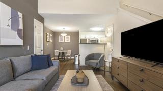 Landing Modern Apartment with Amazing Amenities (ID9530X84) - 9