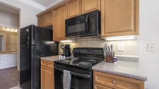 Landing Modern Apartment with Amazing Amenities (ID4486X21) - 5