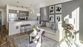 Landing Modern Apartment with Amazing Amenities (ID6509X60) - 9