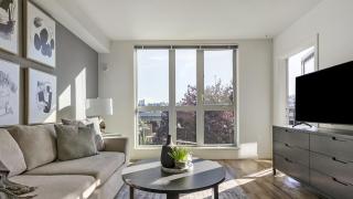 Landing Modern Apartment with Amazing Amenities (ID6509X60) - 4