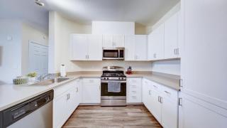 Landing Modern Apartment with Amazing Amenities (ID3881X47) - 9