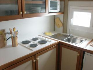 Chalets avec Animaux, Terrasse et Parking - FR-1-489-323 - 3