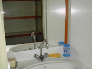 Chalets avec Animaux, Terrasse et Parking - FR-1-489-323 - 2