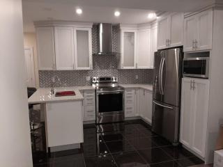 King guest apartment - Ottawa - 3