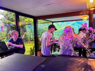 3 Pok Maewang jinxiang Gold elephant park - 2