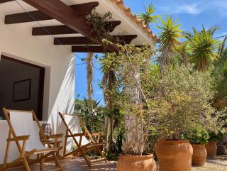 Apartamentos Laura Playa de Migjorn - Playa Migjorn - 6