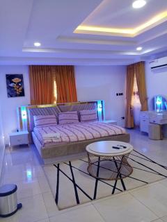 Luxury 3 Bedroom Apartment Available for Shortlet at Jabi - Abuja - Abuja - 7