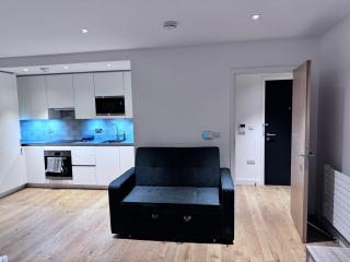 Canning Town London Hub Aptmt - Londra - 7
