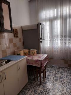 Camellia - Koetaisi - 2