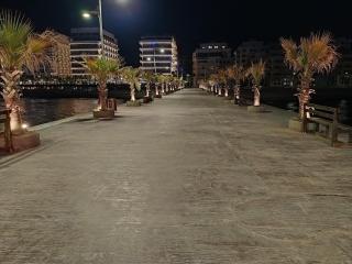 Apartman Gold - Golem - 9