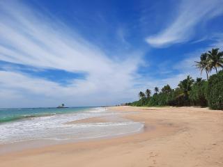 Happy Haven - Hikkaduwa - 0