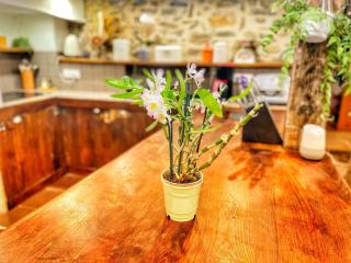 Le Grand Mas de Can Noy - 1