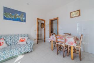 La Rondine su Seccheto - Goelba - Seccheto - 5