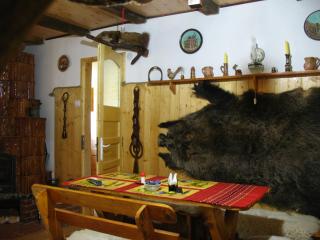 Casa Rustica Oltenia - 3