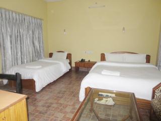 Jungle Safari Lodge- Serenity in the Wild - Sauraha - 6