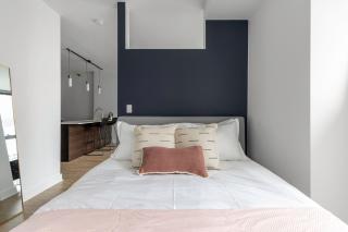 Loop 1BR w Gym Pool WD nr Millennium Park CHI-227 - 1