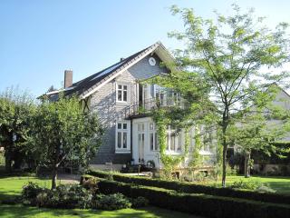 FeWo 110qm mit Balkon an Weser/Glacis/City - Minden - 0