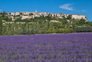 Bastide le Seigneur - Sault - 3
