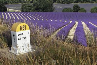 Bastide le Seigneur - 5