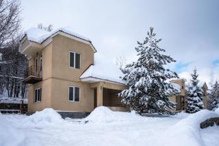 Alpina Resort by Stellar Hotels, Tsaghkadzor - 4