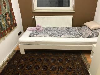 Idyllische Wohnung mitten in der Natur „ Haus Magnolia „ - Fischbachtal - 6