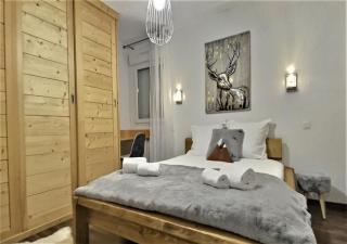 Snow Home by So'SerenityHome-Jardin-Parking-Calme - Marignier - 8