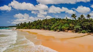 Beach House Kalukatiya - Family Villa, Seaview Room, Garden Room - Dickwella - 6