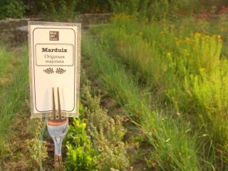 Molí del Casó B&B - 5