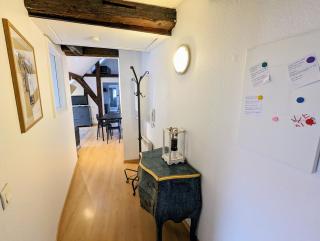 Appartement des Serruriers - Strasburgo - 1