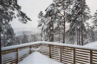 Modern cabin with a beautiful view – Near Risør - Søndeled - 1