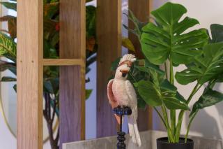 Nice Renting - FODERE - Charm & Comfort 2P Heart of Nice - AC & WiFi - Nice - 5