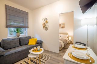 Studio Apartman Lena - Rijeka - 5