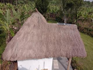 Wakanda cottage kibale - Fort Portal - 6