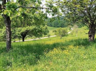 Maison Privative face au lac - Sucy-en-Brie - 2