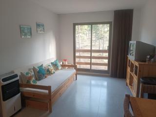 Apartamento a pie de pistas Port del Comte - 1