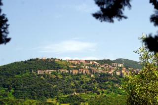 Meublés de Tourisme Casa Erbaggio - 6