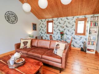 Y Caban Glas - Llandysul - 3