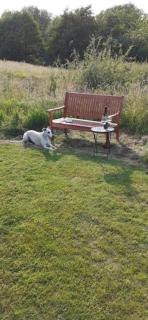 Athelas, self catering studio - Whitby - 6