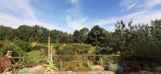 Athelas, self catering studio - Whitby - 5