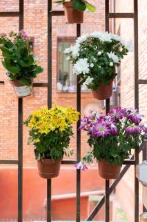 ACE Z12 Apartamento Céntrico Bilbao 3 Pax - Parking gratis - Bilbao - 8