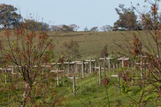 Casa Ócio By Canela do Mato - Palomas - 3