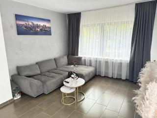 Ferien-Villa direkt am Rhein Sauna/Whirlpool - 6