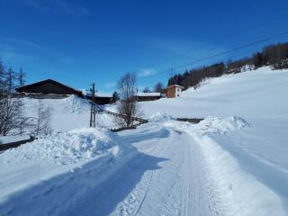 Viehhofgut - Bruck an der Großglocknerstraße - 4
