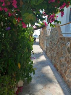 Anemomylos Apartments - 4